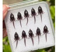 Biomimetic Tadpole Leurre souple pour pêche au bar Leurre flottant avec corps flexible en silicone et mouvement de nage réaliste Couleur noire 3,9 cm Longueur (A)
