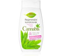 Bione Cosmetics Cannabis après-shampoing régénérant 260 ml