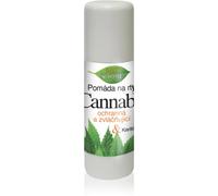 Bione Cosmetics Canna aume à lèvres 11 ml