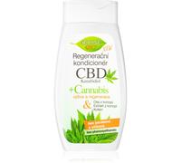 Bione Cosmetics Cannabis CBD après-shampoing régénérant pour cheveux 260 ml