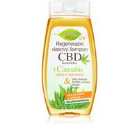 Bione Cosmetics Cannabis CBD shampoing régénérant avec CBD 260 ml