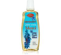 Bione Cosmetics Dentamint Menthol bain de bouche 500 ml