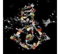 Björk – Biophilia – Vinyle 12"