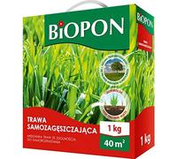 Biopon Graines de pelouse, 1 kg, pour une utilisation polyvalente, résistantes au trampoline, 1 kg de graines pour 40 m² de gazon, semence efficace pour un beau jardin