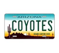 Biopracess New Sign Plaque d'immatriculation Arizona Coyotes hockey team 15,2 x 30,5 cm