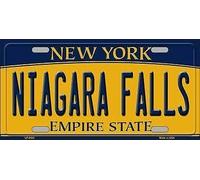 Biopracess Niagara Falls New York State Arrière-plan fantaisie plaque d'immatriculation 15,2 x 30,5 cm