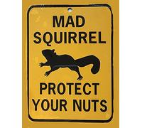 Biopracess Panneau d'avertissement écureuil fou « Protect Your Nuts » - Plaque en métal rétro vintage - Décoration murale - 20,3 x 30,5 cm