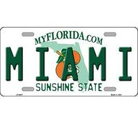 Biopracess Plaque d'immatriculation de l'état de Miami Floride 15 x 30 cm