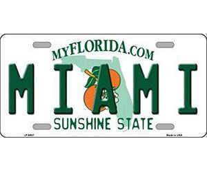 Biopracess Plaque d'immatriculation de l'état de Miami Floride 15 x 30 cm