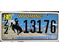 Biopracess Plaque d'immatriculation de l'État du Wyoming 15,2 x 30,5 cm