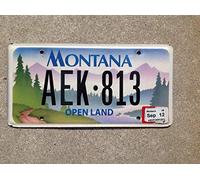 Biopracess Plaque d'immatriculation Montana Open Land 15,2 x 30,5 cm