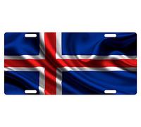 Biopracess Plaque d'immatriculation personnalisée avec drapeau de l'Islande 15,2 x 30,5 cm
