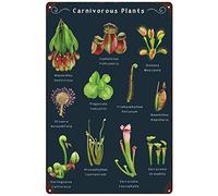 Biopracess Poster de plantes carnivores mangeant d'insectes - Plaque en métal rétro vintage - Décoration murale - 20,3 x 30,5 cm