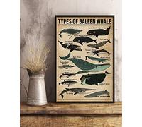 Bioprocess Affiche de Baleen Whale, affiche de connaissance des baleines, affiche de baleine, affiche de décoration de maison de plage, décoration murale en étain 30,5 x 20,3 cm