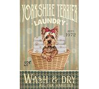 Bioprocess Affiche décorative murale en métal avec chien Yorkshire Terrier 20,3 x 30,5 cm