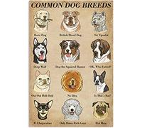 Bioprocess Affiche humoristique de races de chiens communes - Affiche vintage amusante - Décoration murale vintage en métal - 20,3 x 30,5 cm