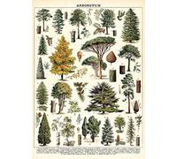 Bioprocess Affiche vintage en métal avec arbre et espèces d'arbres, 20,3 x 30,5 cm