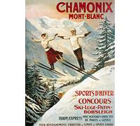 Bioprocess Grande plaque murale en métal gaufré Chamonix Ski de Chamonix 20,3 x 30,5 cm