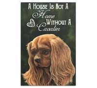Bioprocess King Charles Spaniel Dog Cavalier King Charles Spaniel Ruby Decor Poster Décoration murale Panneau en métal 20,3 x 30,5 cm