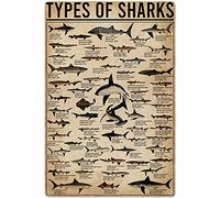Bioprocess Panneau en étain « Types of Sharks » - Affiche de science populaire - Décoration d'intérieur vintage - Affiche décorative - 20,3 x 30,5 cm