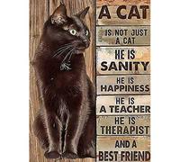 Bioprocess Plaque en métal vintage avec chat noir - 20,3 x 30,5 cm