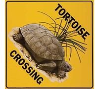 Bioprocess Plaque métallique en métal Tortue Crossing 30,5 x 30,5 cm