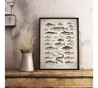 Bioprocess Poisson d'eau douce vintage 5 Poissons Poisson Art Poisson Décoration de la maison Bureau Art Décoration murale intérieur/extérieur Affiche en métal 20,3 x 30,5 cm
