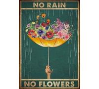 Bioprocess Poster en métal avec inscription « No Rain No Flowers Rain » - Décoration murale - 20,3 x 30,5 cm