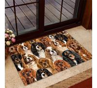 Bioputty Paillasson à empiler avec motif Cavalier King Charles Spaniel - Décoration de ferme - Pour extérieur et intérieur - 45,7 x 76,2 cm