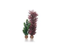 biOrb 55073 - COMMUTATEUR KVM - Seapearls - ? Kelp Vert Olive