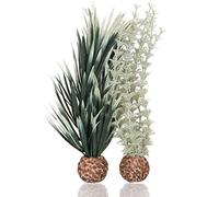 biOrb Ambulia grise/verte S