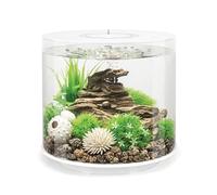 biOrb Aquarium Tube 15 (Blanc, 15 litres), Parfait pour débutants avec lumières LED intégrées, Rapide et Facile à Installer, Vue à 360 degrés avec système de Filtration en 5 étapes, Base en céramique