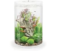 biOrb Aquarium Tube 35 (Blanc, 35 litres), Parfait pour débutants avec lumières LED intégrées, kit Tout-en-Un Facile à Installer, Aquarium en Acrylique Vue à 360 degrés, système de Filtration en 5