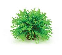 biOrb Boule florale verte