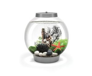 biOrb Classic 15 MCR Silver - Aquarium de Bureau pour des Variantes de Design élégantes, avec système de Filtration breveté