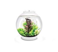 biOrb CLASSIC 30 LED blanc