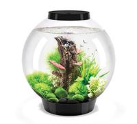 biOrb CLASSIC 30 LED noir