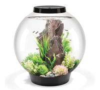 biOrb CLASSIC 60 LED noir | Aquarium idéal pour les débutants, rapide et facile à installer, vue de l'aquarium à 360 degrés avec système à 5 étapes