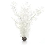 biOrb Corail corné L blanc