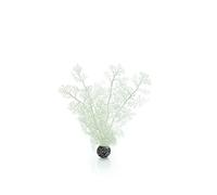 biOrb Corail corné M blanc