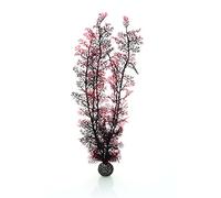 biOrb Corail corné XL rouge foncé