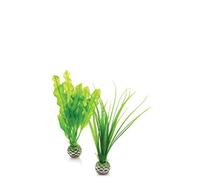BiOrb Easy Plant Lot de 2 petites plantes