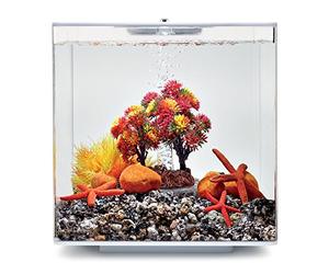biOrb Ensemble décoratif 15L Automne