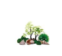 biOrb Ensemble décoratif 15L Été