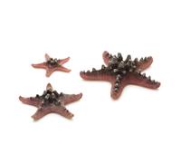 biOrb Étoile de mer Set 3 rose (46136)
