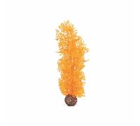 biOrb Eventail de mer M orange