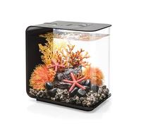 biOrb FLOW 15 LED Aquarium en noir
