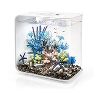 Aquarium 30 l Oase 72034 avec éclairage LED