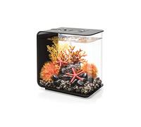biOrb Flow Aquarium Compact Moderne en Acrylique de 15 litres avec lumières LED Multicolores télécommandées pour Dessus de Table ou de Bureau, Noir