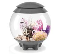 biOrb Halo 15 Aquarium en Acrylique, Gris, télécommande MCR Multicolore, Aquarium de qualité supérieure avec Ligne d'eau cachée, Filtration en 5 étapes, Installation Facile, avec Pompe à air